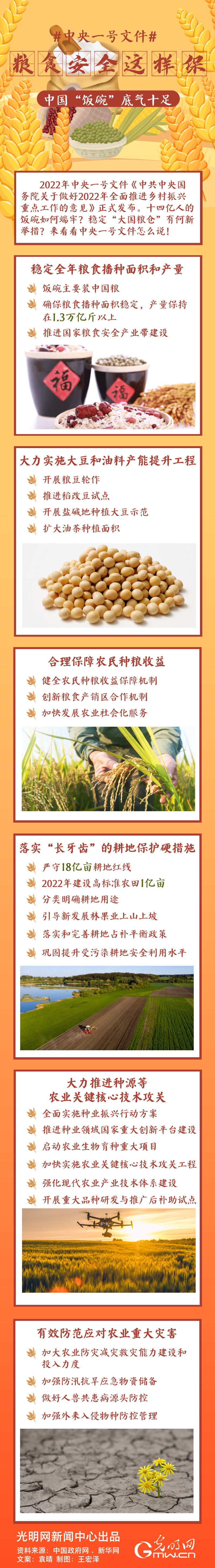 中央一號文件｜糧食安全這樣保，中國“飯碗”底氣十足