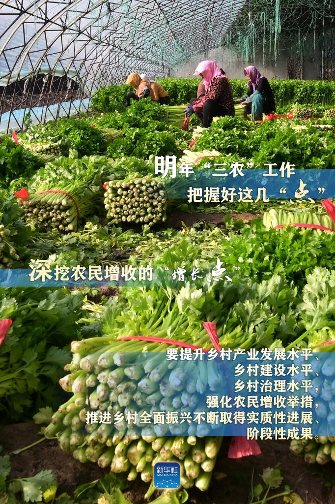 明年“三農(nóng)”工作，這幾個“點”要把握好