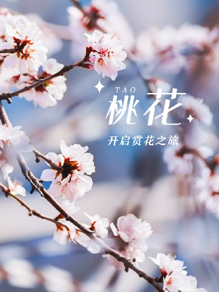 追花指南第三期！別等了 今天就去和桃花撞個滿懷