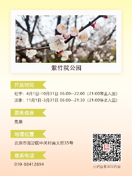 追花指南第六期！杏花雨 楊柳風(fēng) 北京最美的杏花在這里