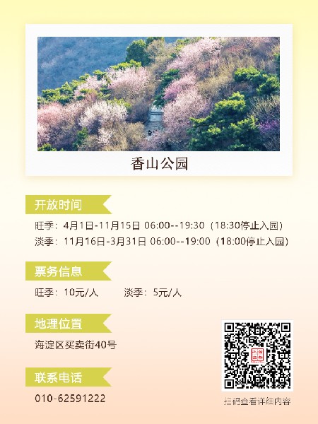 追花指南第六期！杏花雨 楊柳風(fēng) 北京最美的杏花在這里
