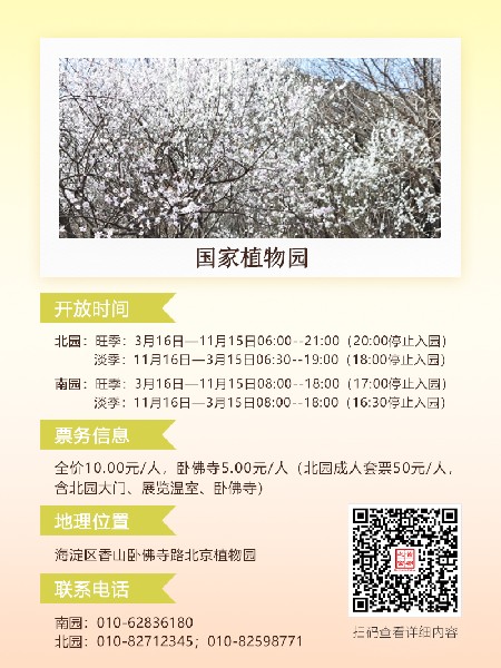 追花指南第六期！杏花雨 楊柳風(fēng) 北京最美的杏花在這里