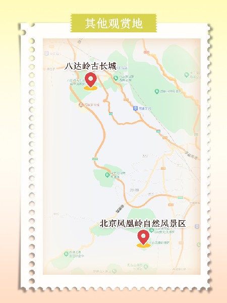 追花指南第六期！杏花雨 楊柳風(fēng) 北京最美的杏花在這里