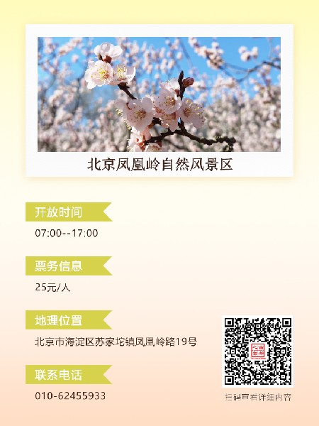 追花指南第六期！杏花雨 楊柳風(fēng) 北京最美的杏花在這里