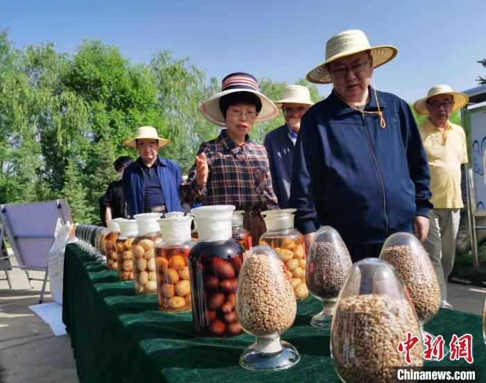 青海：利用冷涼氣候，打造高原綠色種業(yè)輸出地