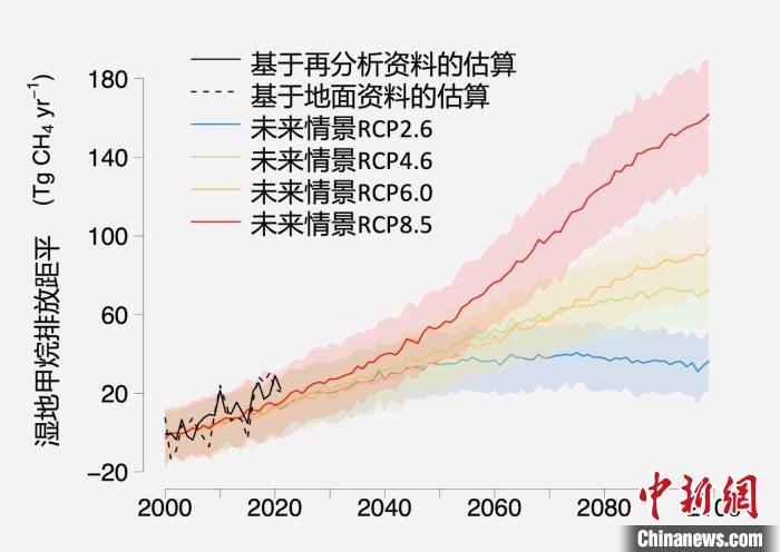 基于觀測的濕地甲烷排放變化與未來氣候變化情景下估算的對比?！≈锌圃呵嗖馗咴?供圖