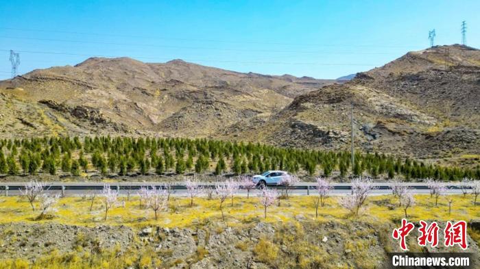生態(tài)修復(fù)后逐漸變綠的賀蘭山石嘴山段?！∈焐绞形麄鞑抗﹫D