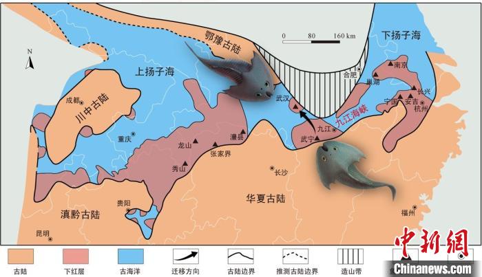 華南地區(qū)志留紀(jì)早期古地理圖和盔甲魚類化石產(chǎn)地(山顯任改自陳旭、戎嘉余，1996；戎嘉余等，2012) 中科院古脊椎所 供圖