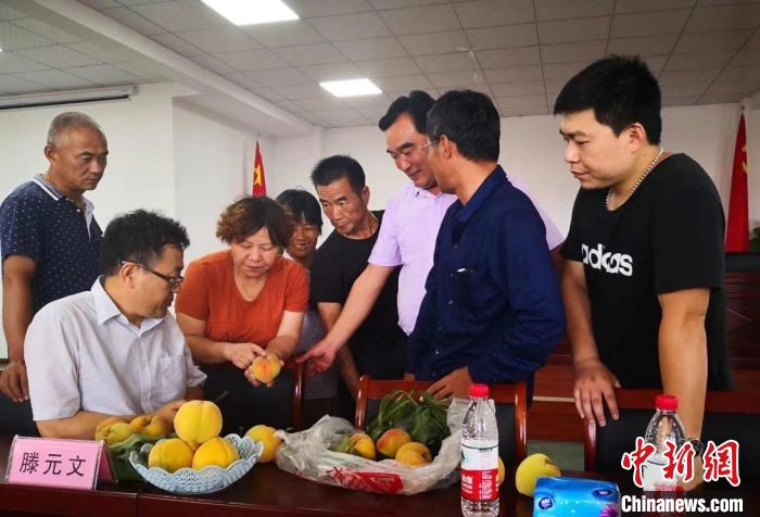 民進(jìn)浙江省委會(huì)為三里橋黃桃種植戶送技術(shù)、送指導(dǎo)?！〖紊平y(tǒng)戰(zhàn) 供圖