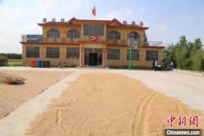 農(nóng)民在邳莊鎮(zhèn)尚莊村黨群服務(wù)中心大院里曬糧?！≠Z萌 攝