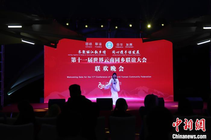 圖為第十一屆世界云南同鄉(xiāng)聯(lián)誼大會(huì)舉辦聯(lián)歡晚會(huì)。　崔永江 攝