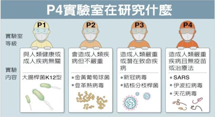 P4實驗室在研究什么。臺灣聯(lián)合新聞網資料圖