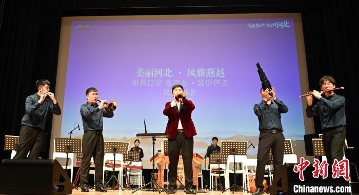 圖為音樂(lè)會(huì)現(xiàn)場(chǎng)?！∈谞栔袊?guó)文化中心供圖