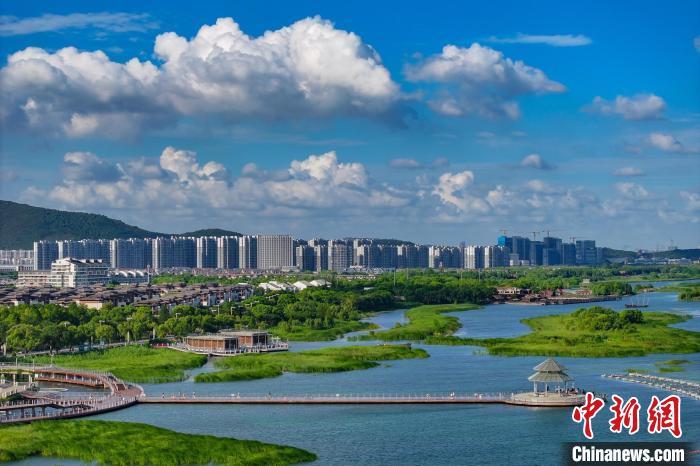 資料圖：航拍蘇州太湖湖濱國家濕地公園，藍(lán)天碧水生態(tài)美。 泱波 攝