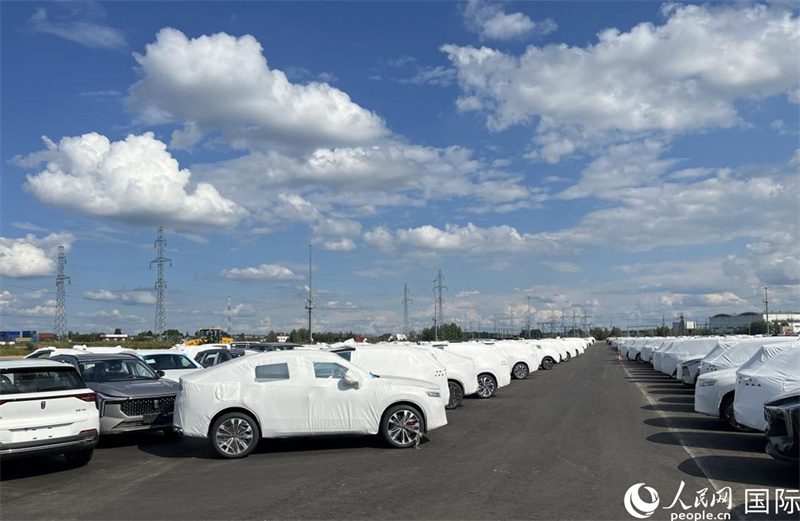 莫斯科別雷拉斯特物流中心內(nèi)的中國品牌汽車。人民網(wǎng)記者 申佳平攝