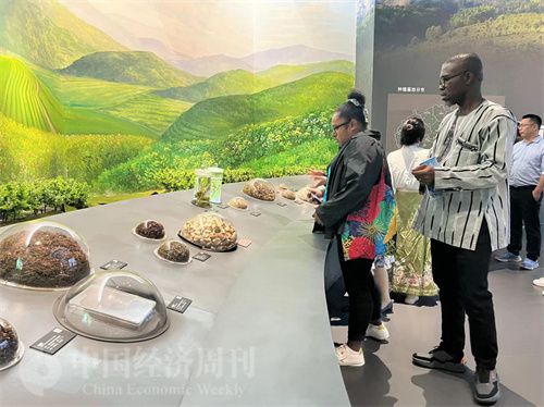   （在中國藥都中醫(yī)藥博物館，外媒記者了解中醫(yī)藥發(fā)展史。中國經(jīng)濟(jì)周刊記者 郭志強(qiáng) 攝）