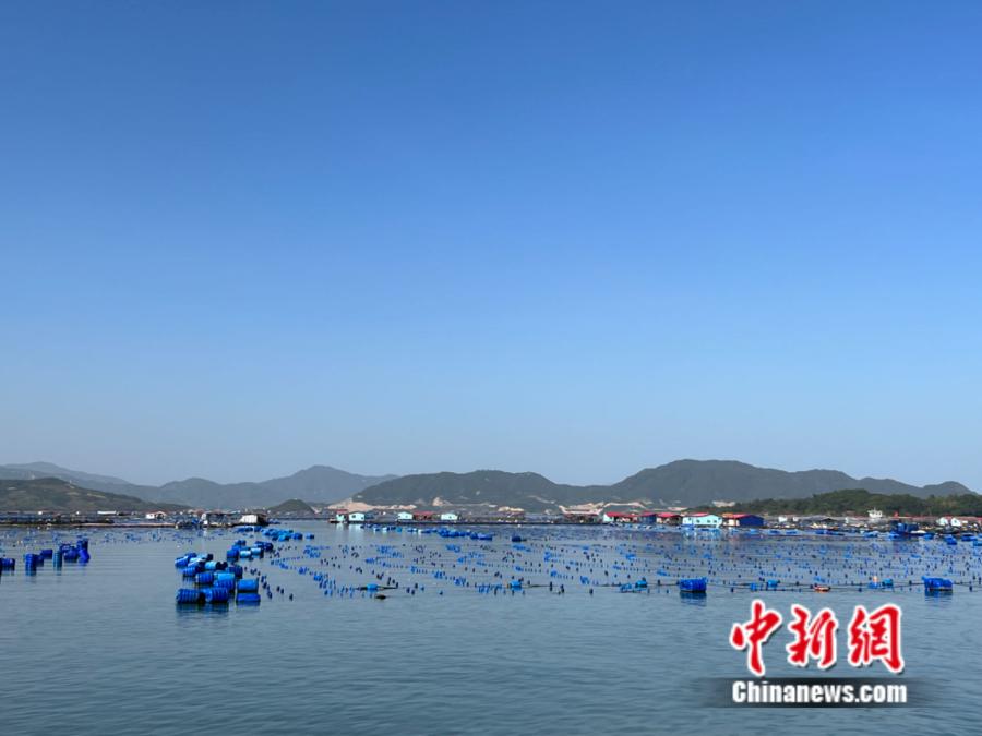 霞浦縣海上魚排。<a target='_blank' href='/' ><p  align=