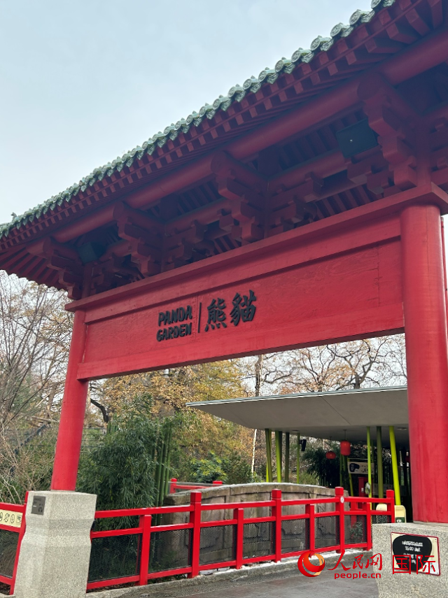 柏林動物園的熊貓館，占地約5500平方米。人民網記者 徐馨攝
