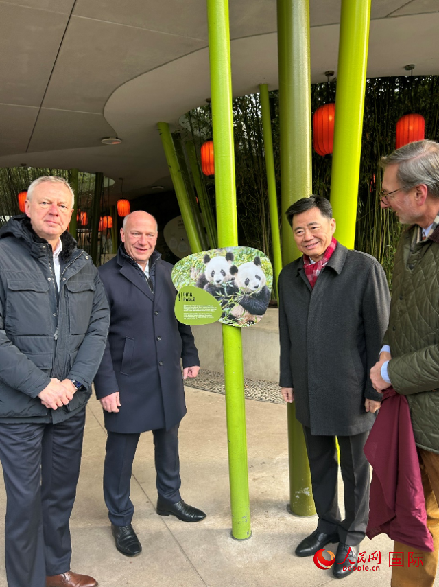 中國駐德國大使吳懇（右二）、柏林市長韋格納（左二）、動物園園長克尼里姆（右一）和監(jiān)事會主席布魯克曼（左一）共同為“夢想”“夢圓”大熊貓紀念牌揭幕。人民網記者 徐馨攝