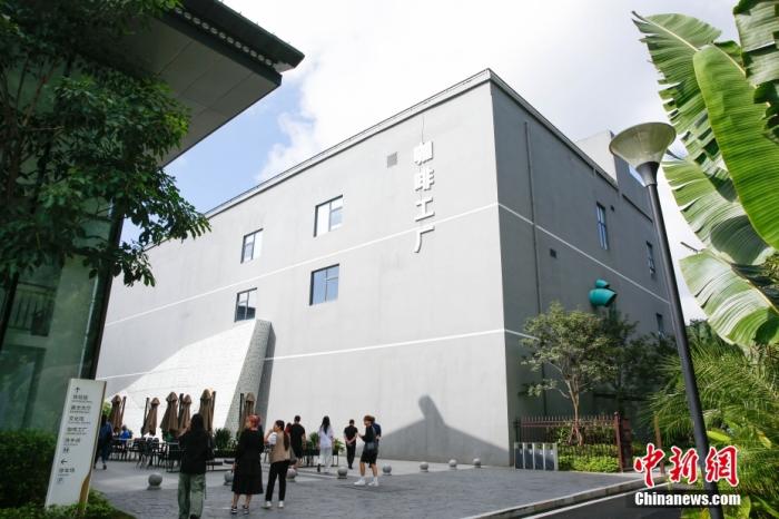圖為采訪團(tuán)一行參觀咖啡工廠。 曹淼欣 攝