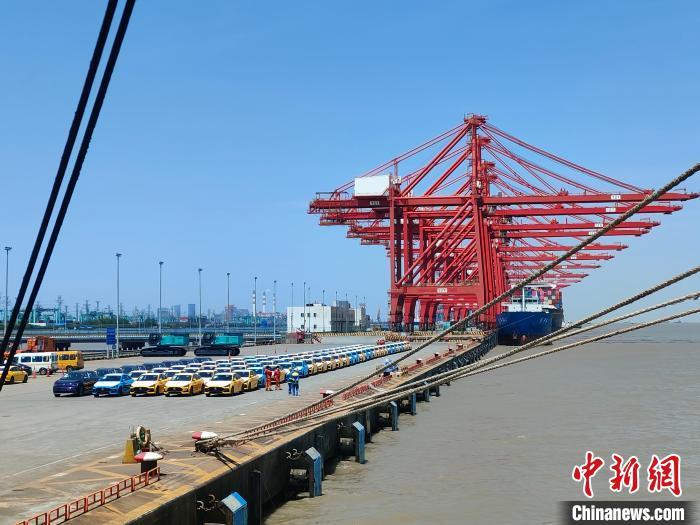 資料圖：國(guó)產(chǎn)新能源車在上海外高橋港區(qū)海通碼頭“整裝待發(fā)”?！∑址?攝