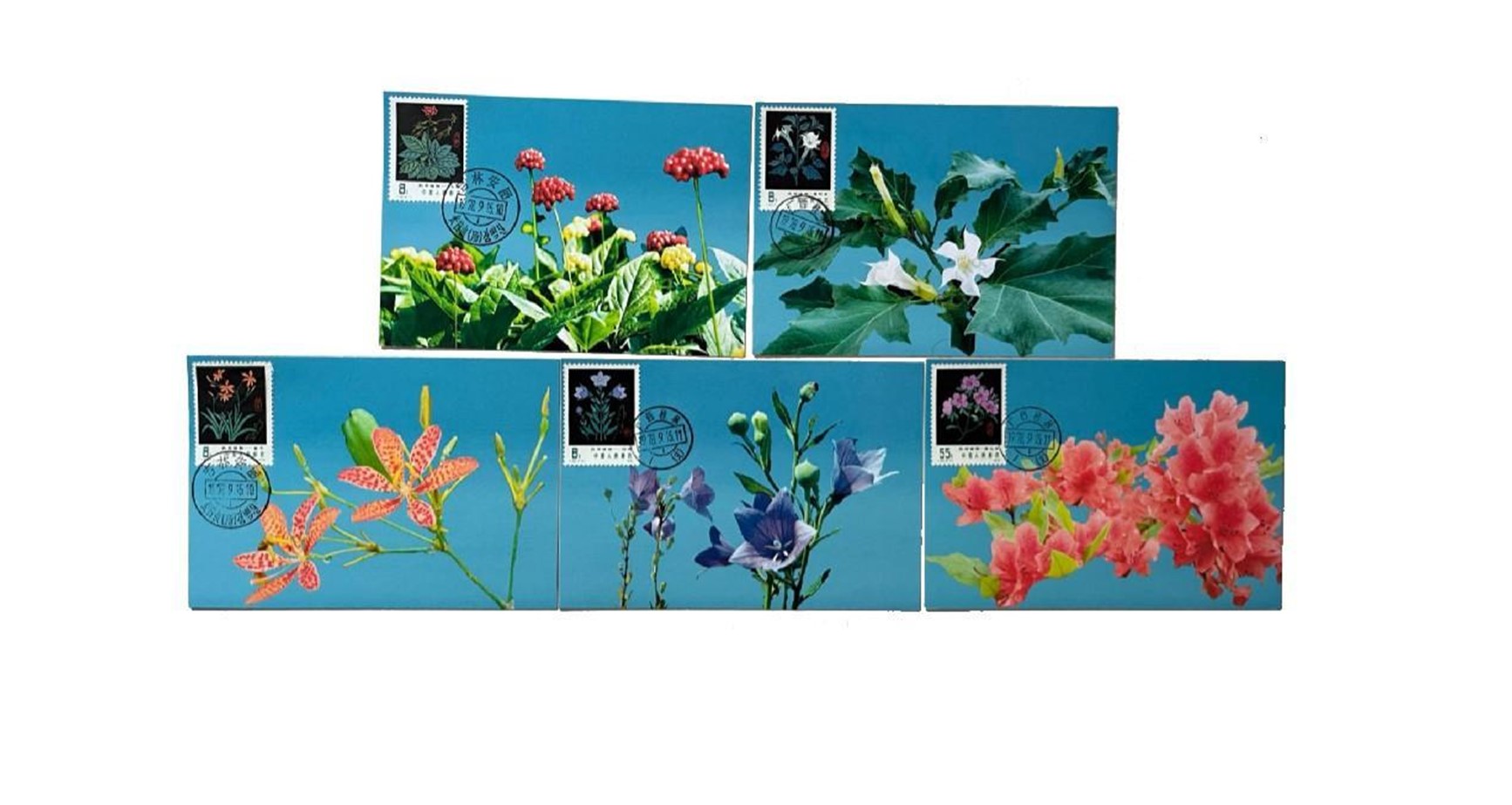 首套藥用植物極限片。第七屆阿聯(lián)酋集郵展主辦方供圖