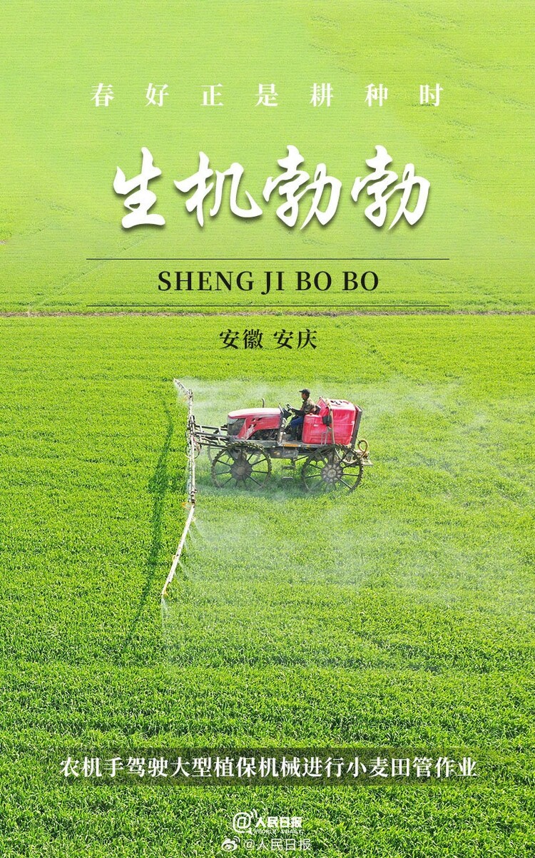 生機盎然！用課本封面打開春耕畫卷