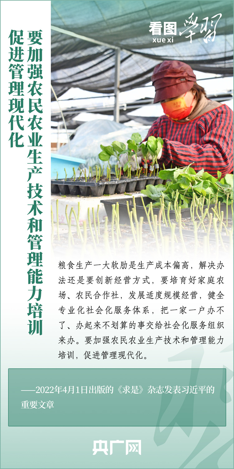 看圖學(xué)習(xí)丨推廣良田、良種、良法、良機(jī) 給農(nóng)業(yè)現(xiàn)代化插上科技的翅膀