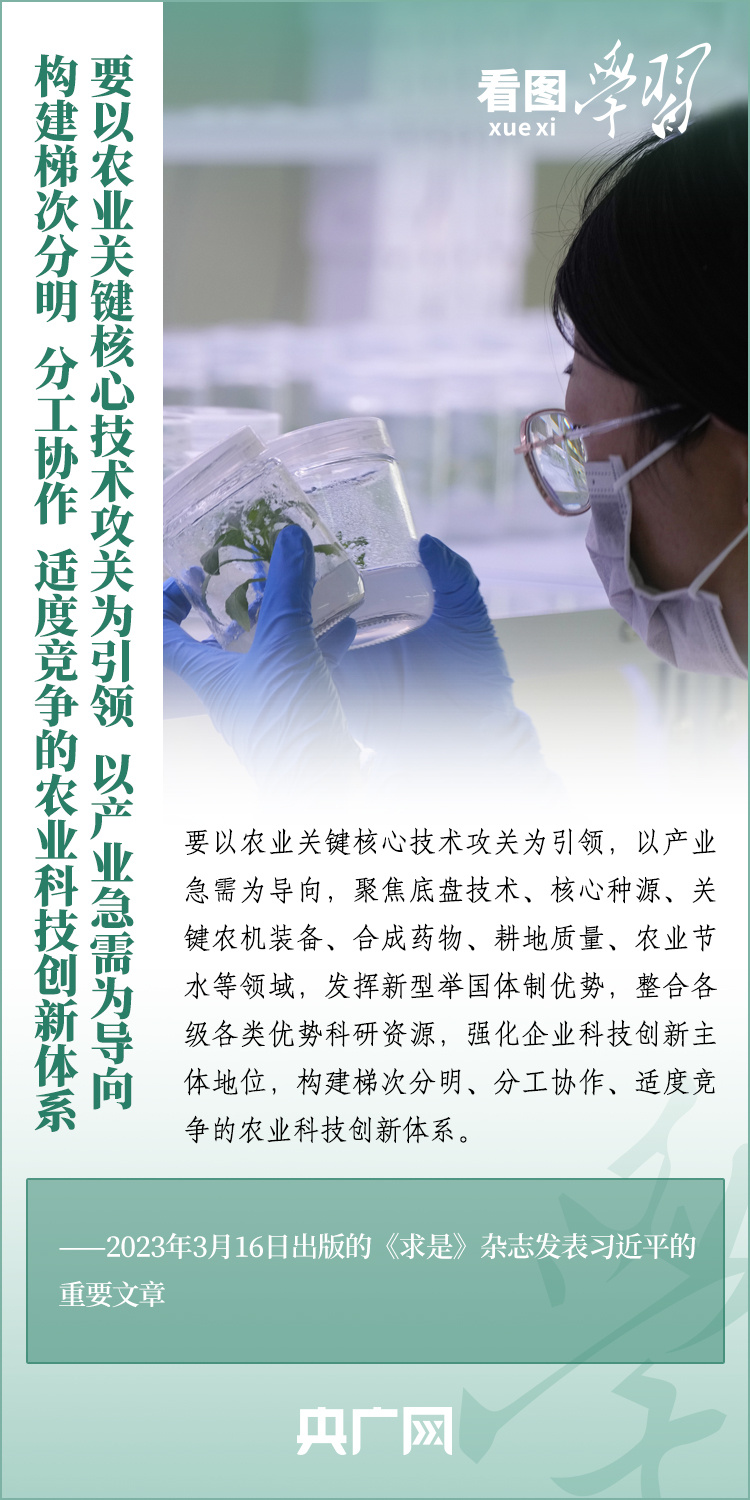 看圖學(xué)習(xí)丨推廣良田、良種、良法、良機(jī) 給農(nóng)業(yè)現(xiàn)代化插上科技的翅膀