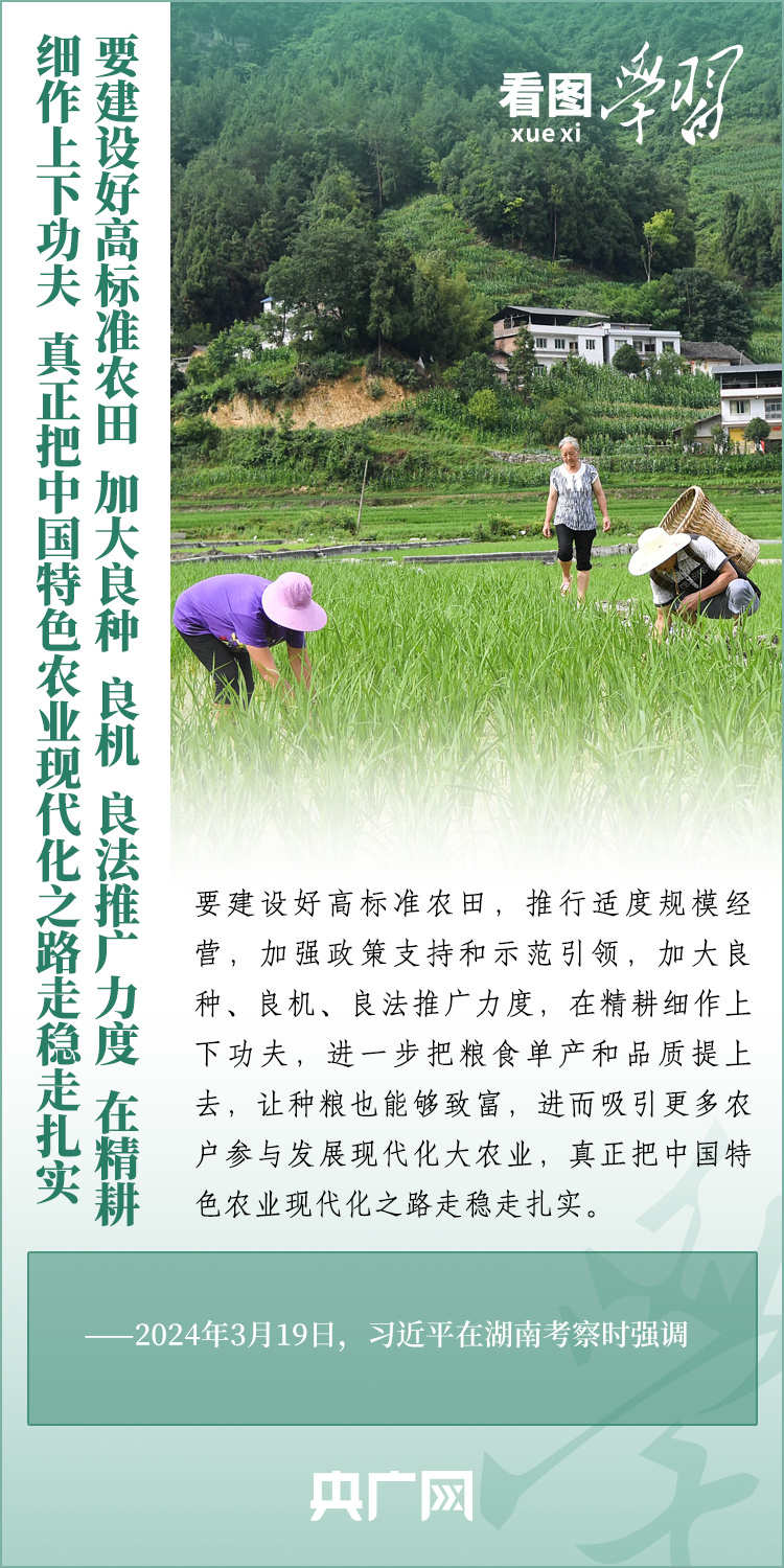 看圖學(xué)習(xí)丨推廣良田、良種、良法、良機(jī) 給農(nóng)業(yè)現(xiàn)代化插上科技的翅膀