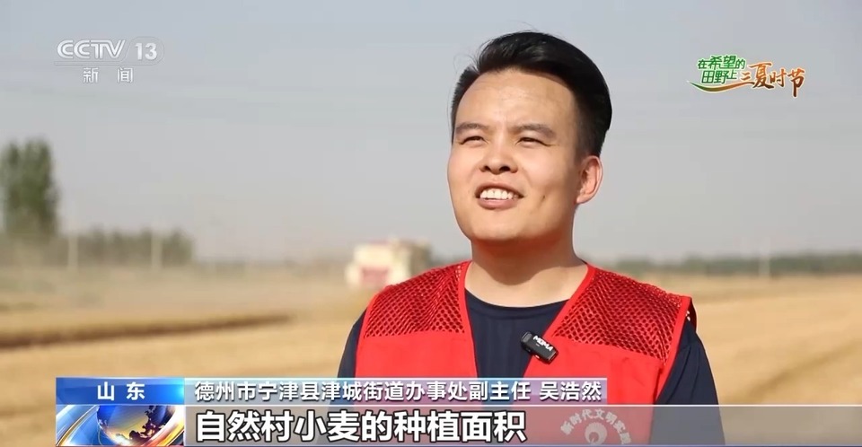 “三夏”生產(chǎn)思維導(dǎo)圖安排上了！還有政府大院等你來(lái)“曬”