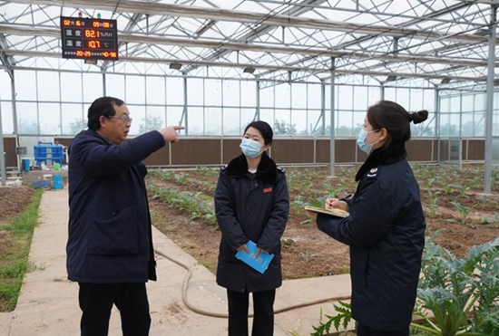 稅務干部走進常德市西洞庭管理區(qū)的朝鮮薊種植基地，宣傳稅費優(yōu)惠政策，助力農(nóng)企搶農(nóng)時、抓春耕、穩(wěn)增長。吳家豪攝