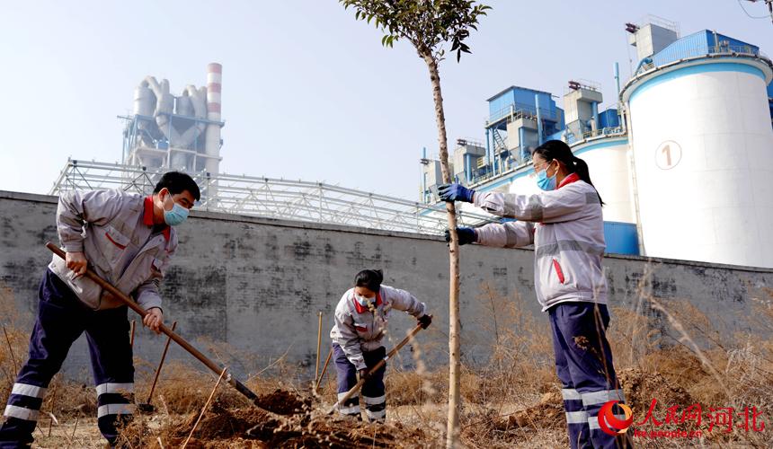 邢臺(tái)金隅職工在石邢公路沿線植樹(shù)。 宋繼昌攝
