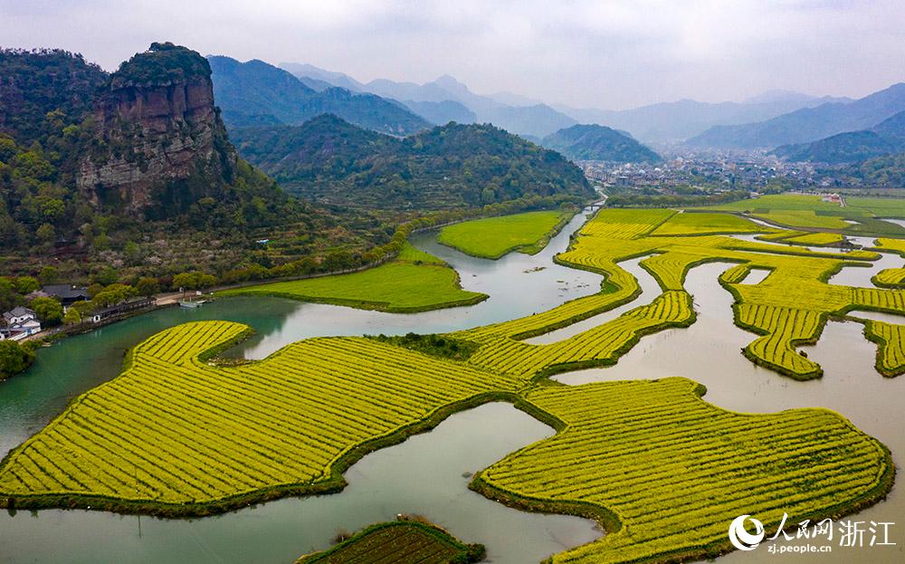 3月28日，航拍浙江省臨海市桃渚鎮(zhèn)桃江十三渚盛開的油菜花景色。人民網(wǎng) 章勇濤攝