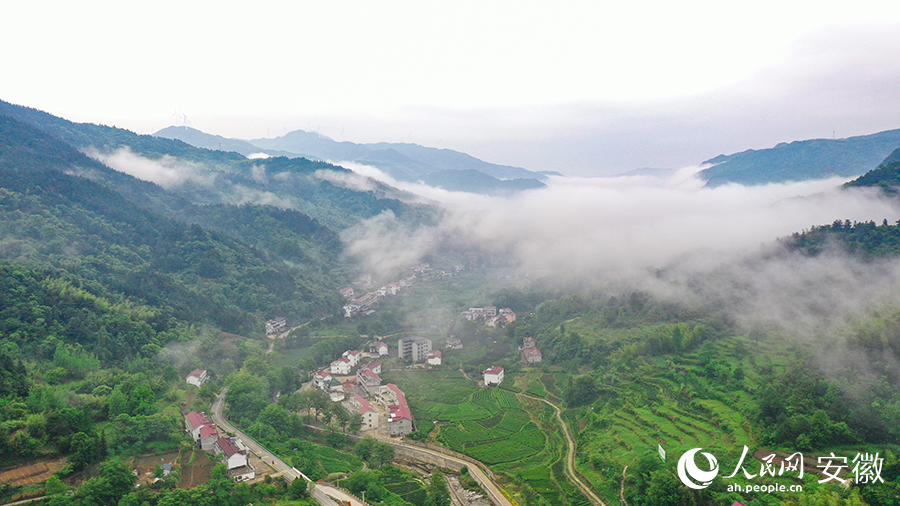 雨后的金寨大灣村，云霧環(huán)繞，宛如一幅田園山水畫卷。人民網(wǎng) 張俊攝