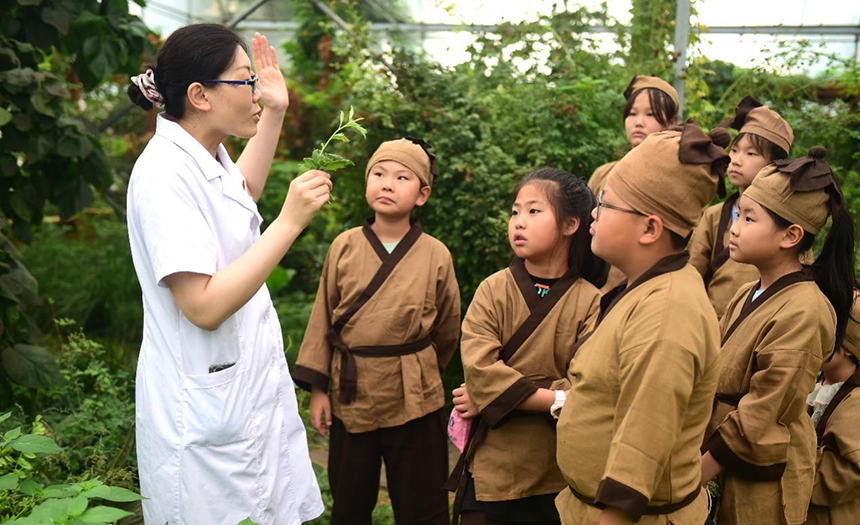 參加活動的孩子聆聽滄州市人民醫(yī)院國醫(yī)館中醫(yī)對中藥材的講解。 傅新春攝