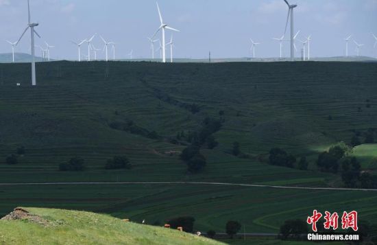 6月28日，河北張家口張北草原上大片風(fēng)力發(fā)電的“風(fēng)車”規(guī)模宏大。 中新社記者 楊艷敏 攝