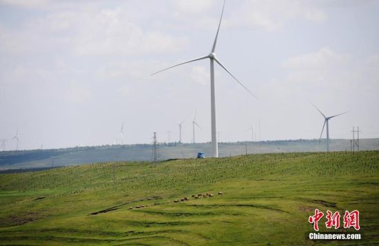 6月28日，河北張家口張北草原上大片風(fēng)力發(fā)電的“風(fēng)車”規(guī)模宏大。 中新社記者 楊艷敏 攝