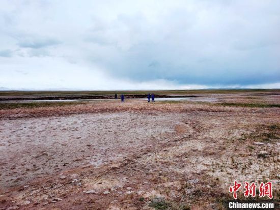 圖為救援力量在青海省西部搜救失聯(lián)的江蘇南京某大學(xué)女生黃某某。海西州藍(lán)天應(yīng)急救援中心 供圖