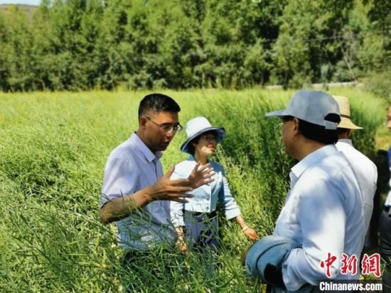 圖為九三學社青海省委主委杜德志(左一)在基層調(diào)研。受訪者供圖