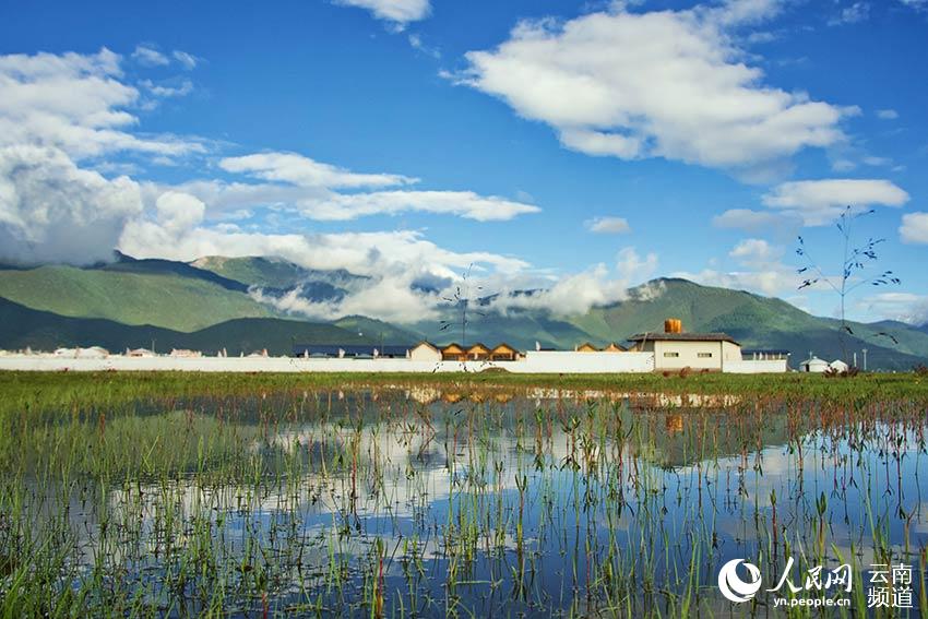 納帕海濕地風(fēng)景。呂昊辰攝