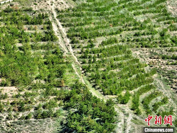 航拍建行青海省分行綠化區(qū)?！∑钤鲚?攝