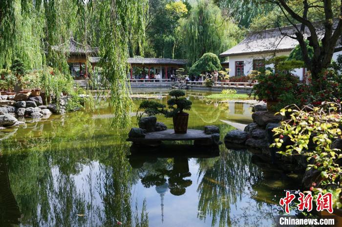 圖為西寧園林植物園秋日風(fēng)景別有韻味?！●R銘言 攝