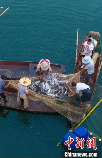捕魚現(xiàn)場(chǎng)?！≈鬓k方供圖