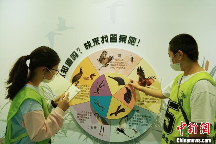 圖為小朋友在青海西寧湟水國家濕地公園科普館內(nèi)參觀學習?！●R銘言 攝