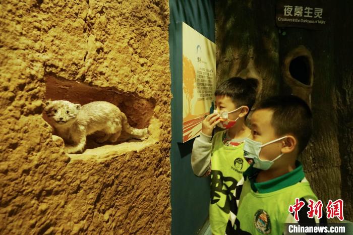 圖為小朋友在青海西寧湟水國家濕地公園科普館內(nèi)參觀學習?！●R銘言 攝