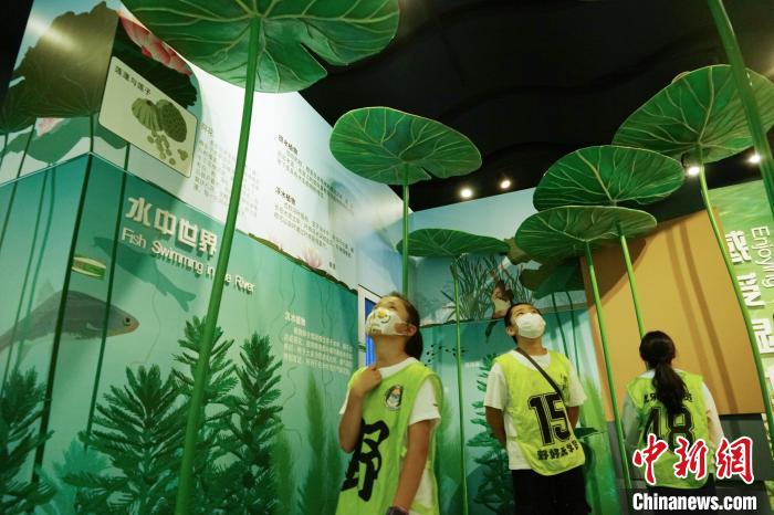 圖為小朋友在青海西寧湟水國家濕地公園科普館內(nèi)參觀學習?！●R銘言 攝