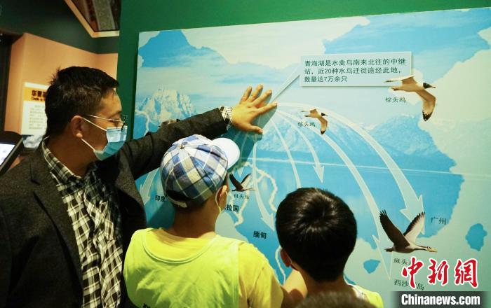 圖為小朋友在青海西寧湟水國家濕地公園科普館內(nèi)參觀學習?！●R銘言 攝