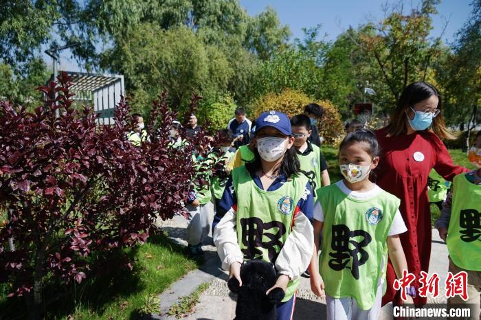 圖為小朋友在青海西寧湟水國家濕地公園內(nèi)認識植物?！●R銘言 攝