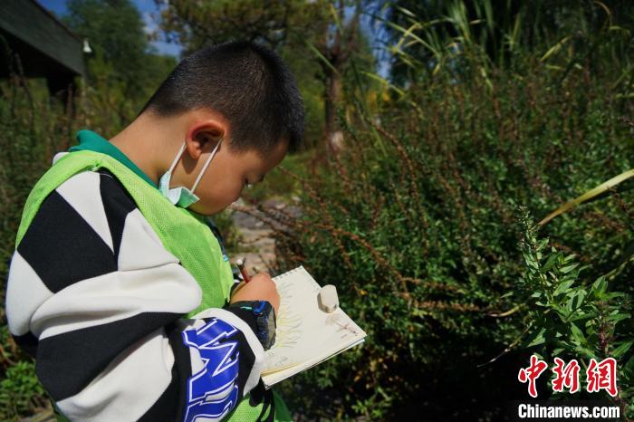 圖為小朋友在青海西寧湟水國家濕地公園內(nèi)認識植物并進行繪畫?！●R銘言 攝
